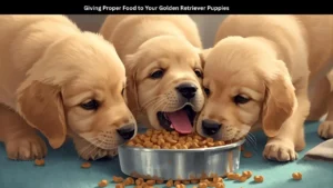 Giving Proper Food to Your Golden Retriever Puppies
