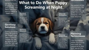 What to Do When Puppy Screaming at Night