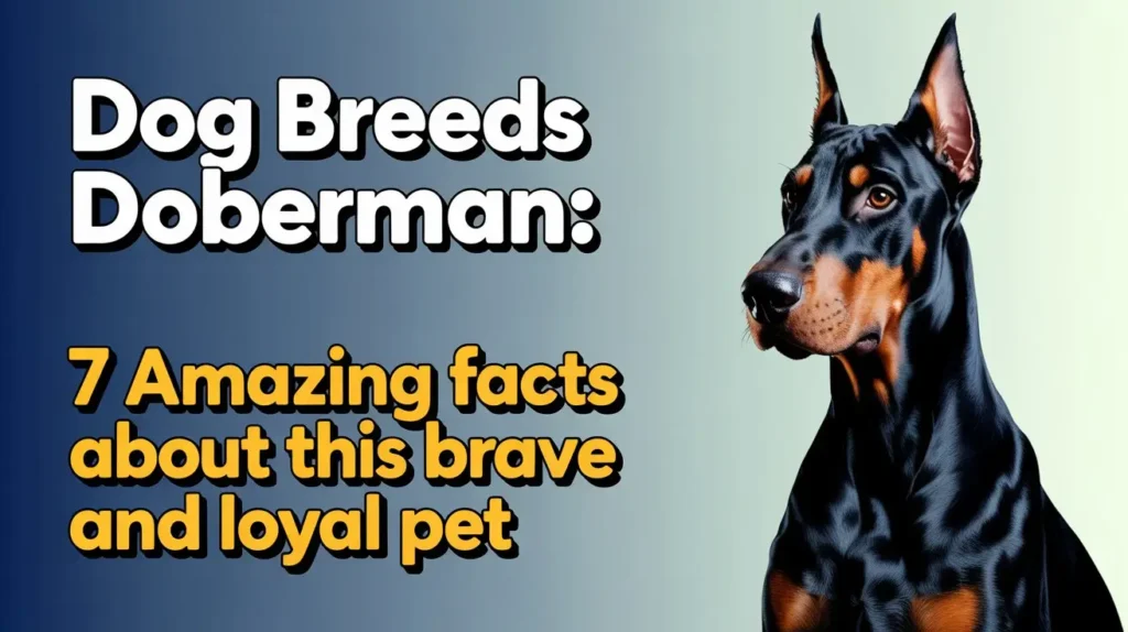 Dog Breeds Doberman: 7 Amazing Facts About This Brave and Loyal Pet