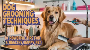 Dog Grooming Techniques: 10 Powerful Tips for a Healthy, Happy Pet