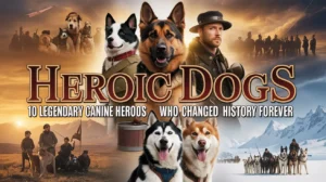 Heroic Dogs: 10 Legendary Canine Heroes Who Changed History Forever